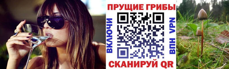 Галлюциногенные грибы мухоморы  Купить закладки  Юхнов 